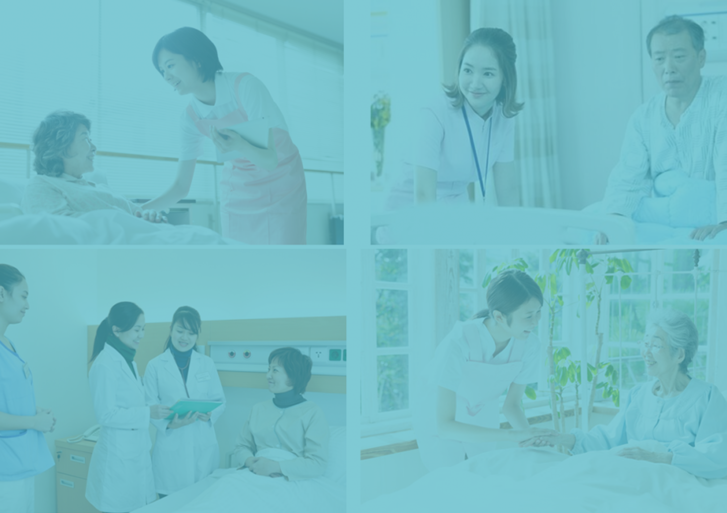 Hệ Sinh Thái Kaigo Việt Nam
