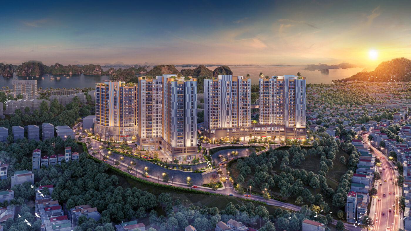 Hệ Sinh Thái Kaigo Việt Nam