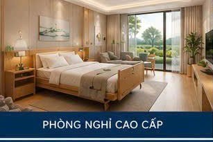 Hệ Sinh Thái Kaigo Việt Nam