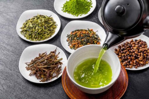Hệ Sinh Thái Kaigo Việt Nam